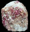 Gemmy Roselite and Calcite Crystals on Matrix - Morocco #44764-1